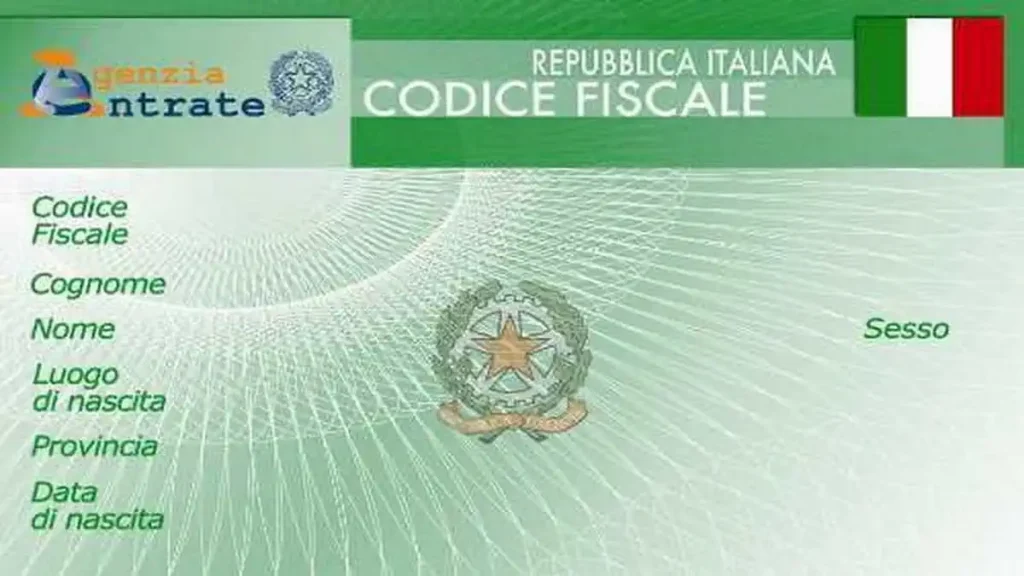 Получить налоговый номер Италии возможные способы